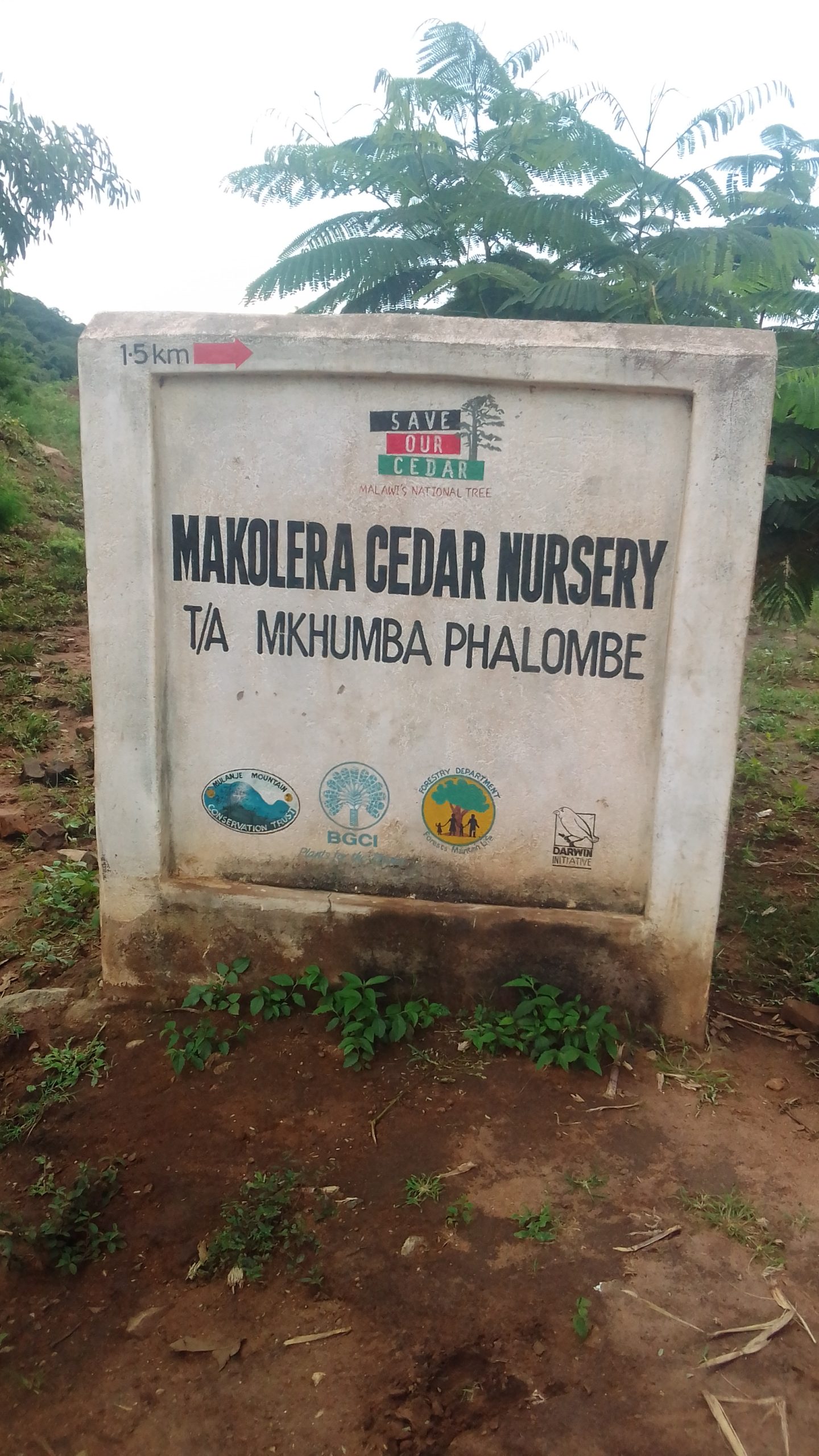 Makolera Cedar nursery sign post