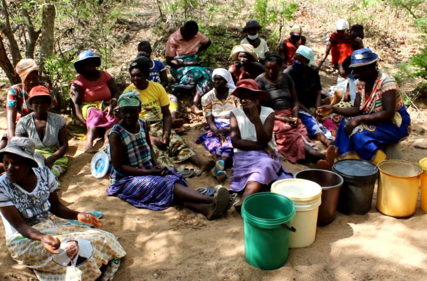  Zimbabwean women harvesting water to beat drought