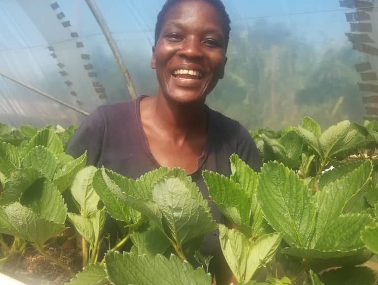  Eswatini woman leading the way on agri-tourism