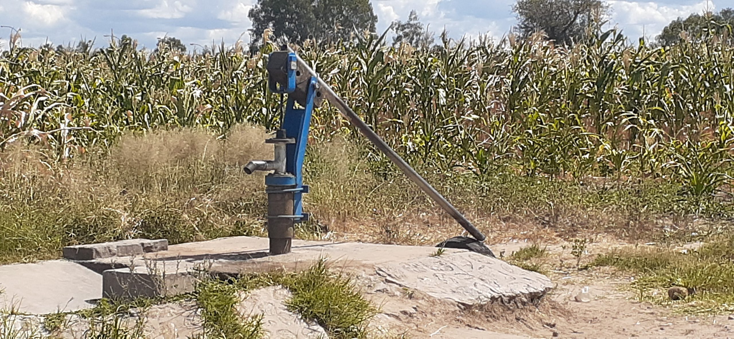 - A.broken down borehole in the middle of a maize field