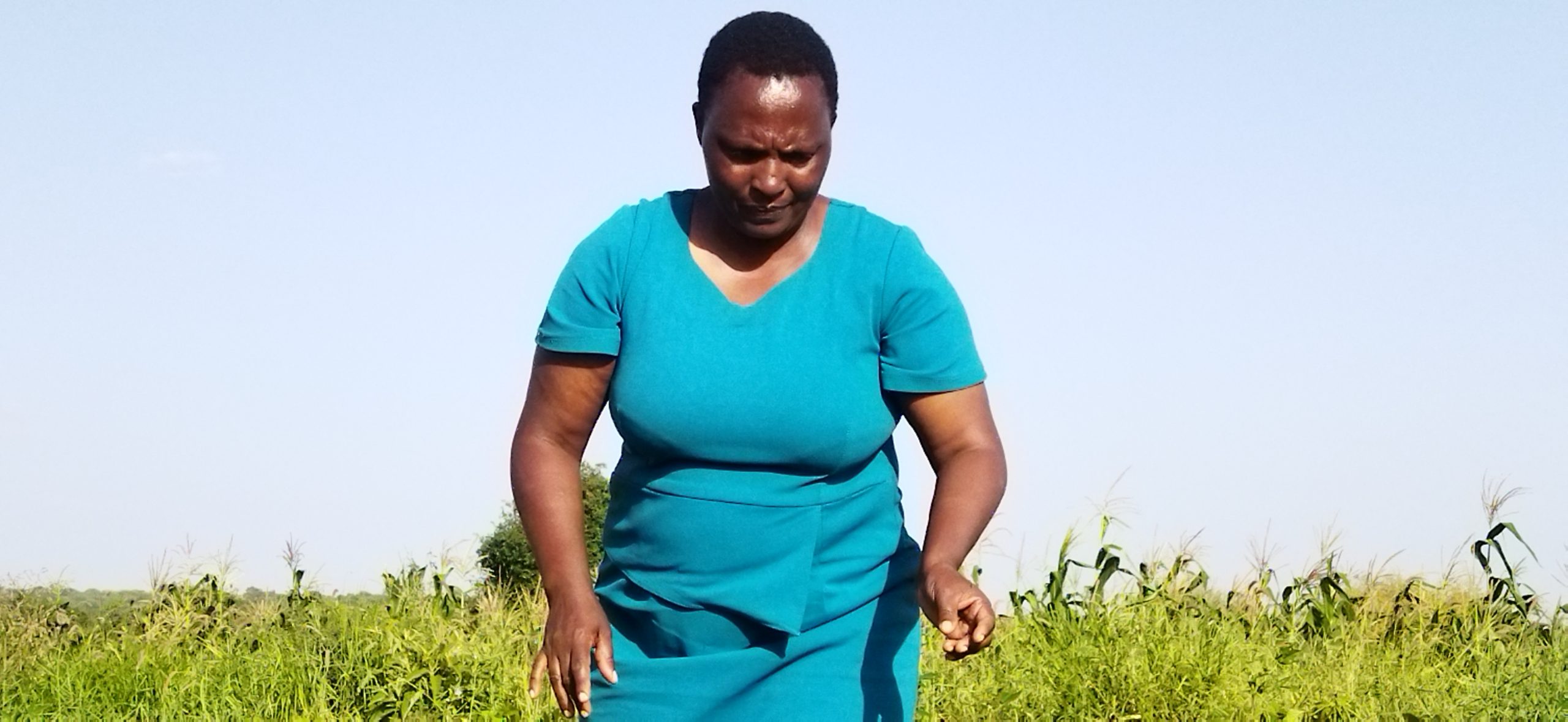 Catherine Mbili on her farm. Photo/Mercy Gakii/AWiM