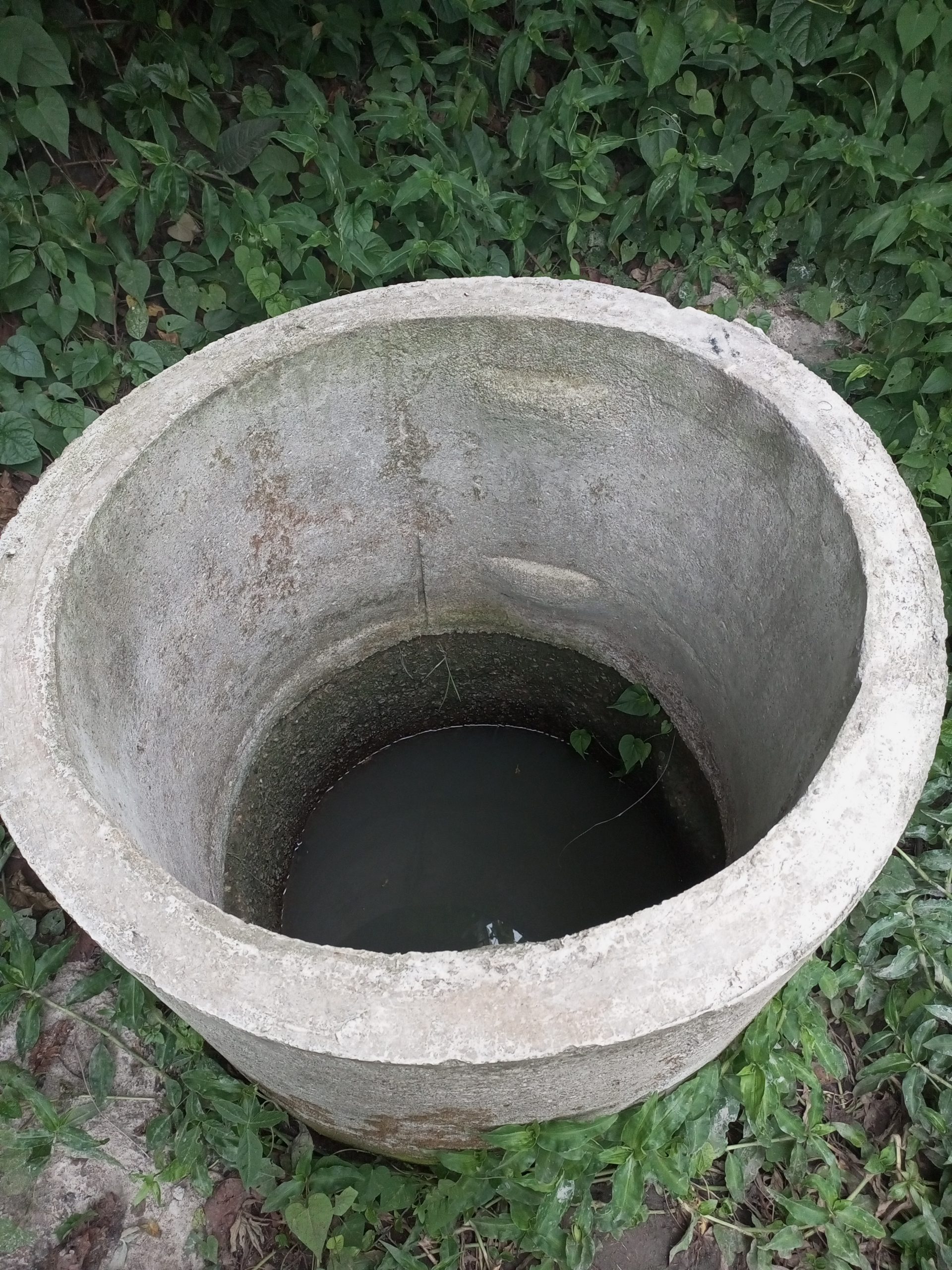 Some women in Ogun State dig out holes for water storage to irrigate their farms. Photo/Adetutu Sebolowe/ AWiM