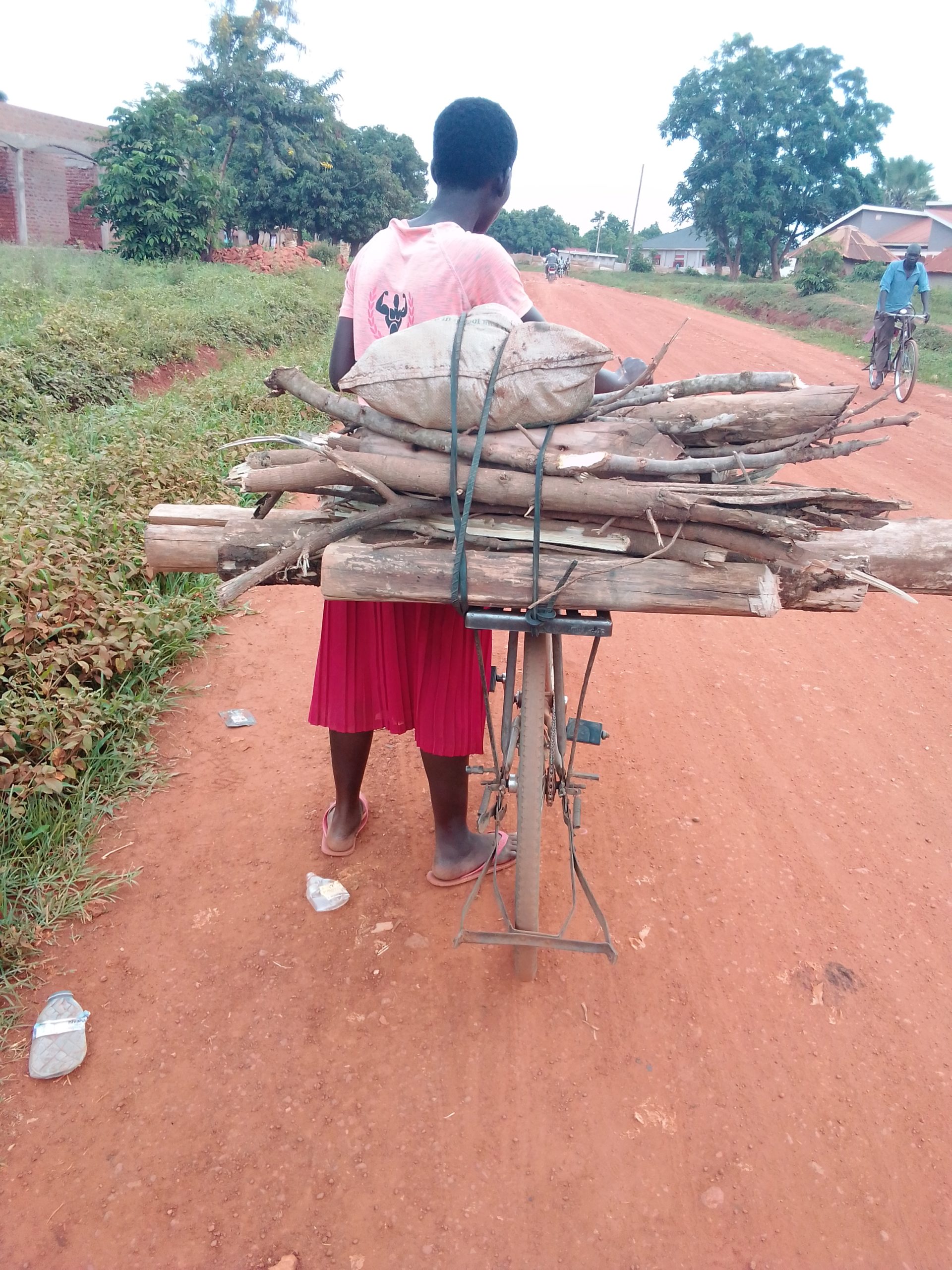 Tree felling in Uganda's West Nile Region is causing a lot of conflicts. Photo/ Awor Isabella Olong