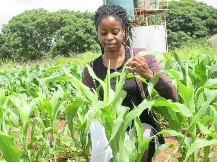 Zambia: The gender gap in land rights derails climate justice - AWiM News