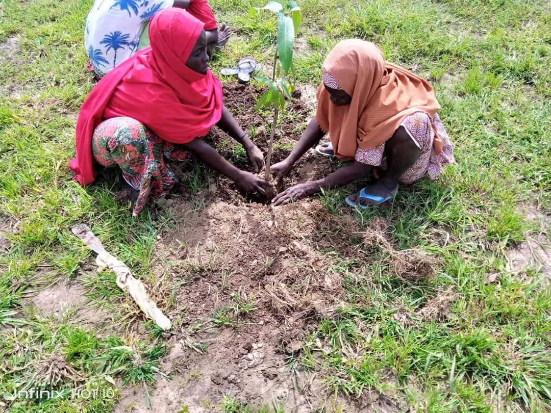 The women are also involved in tree planting. Photo/Emmanuella Wvemnyuy/AWiM