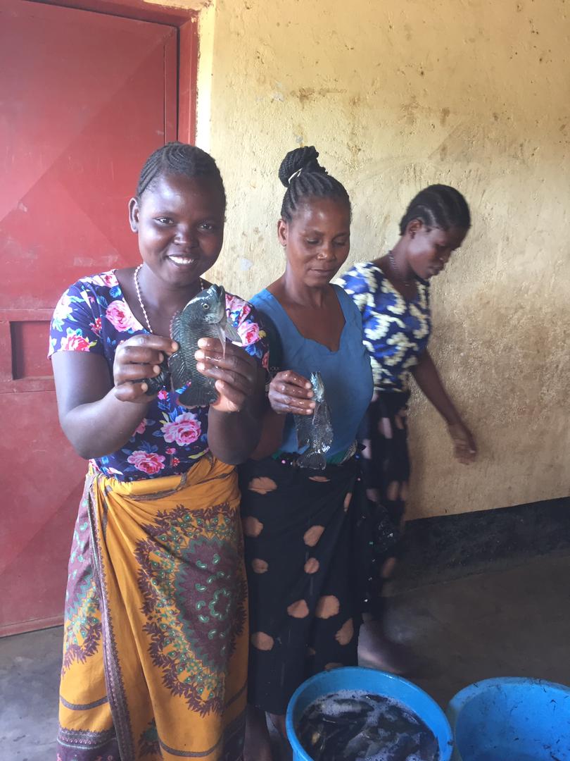 The women are also engaged in fish farming using the water they harvested from floods. Photo/Precious Kumbani/AWiM