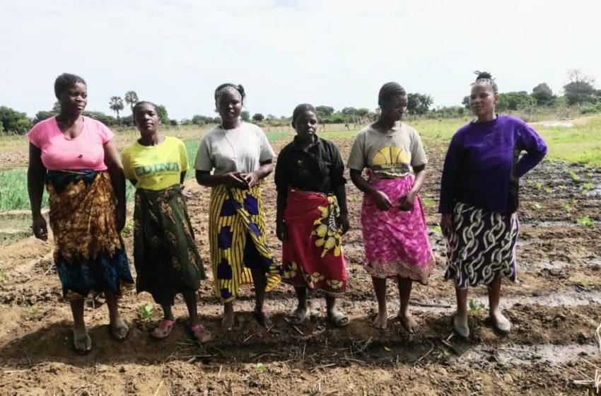  Malawi women lead the restoration plan amid flooding