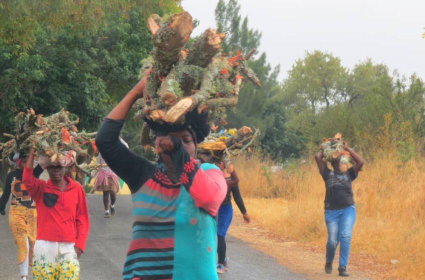  Zimbabwe women adopt energy saving stoves to save trees