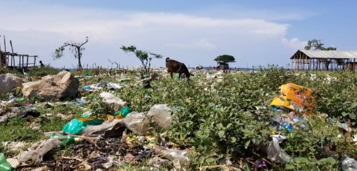 island pollution