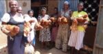 Women during micro-credit empowerment