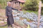 ; Phillis showing cabbages and strawberries she grows in her farm.