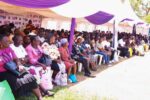 Paralegals